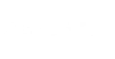 भागीदार जो 21game के साथ काम करते हैं